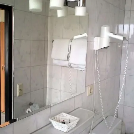 Hotel-restaurant Zum Stern Отель 3*